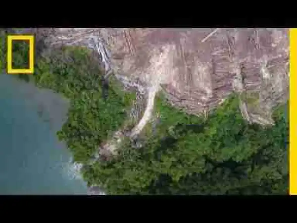 Video: Is Your Floor Made from Illegal Tropical Wood? | National Geographic